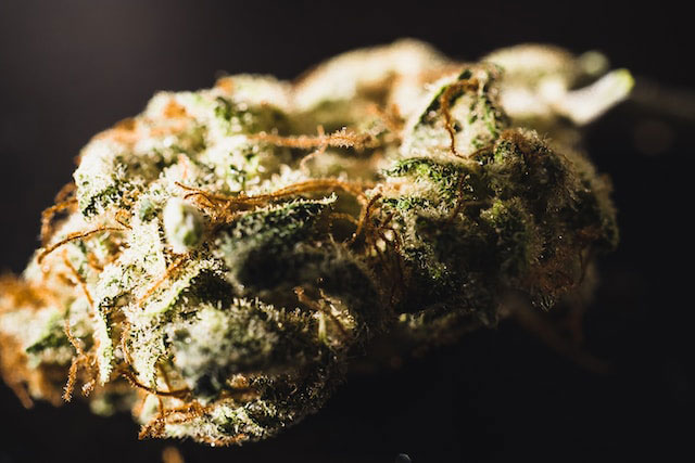Green cannabis nugget with orange hairs
