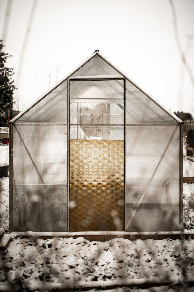 A greenhouse in the snow
