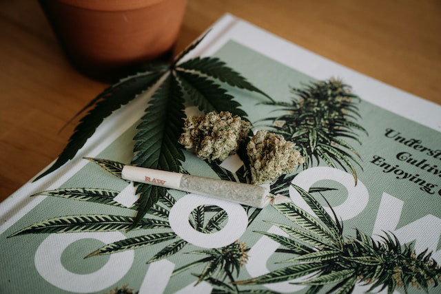 Joint and buds on top of a book about cannabis cultivation