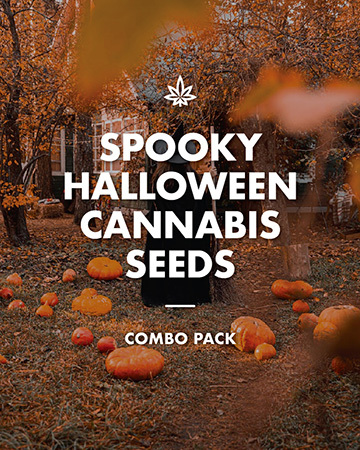GCS Spooky halloween cannabis seed combo