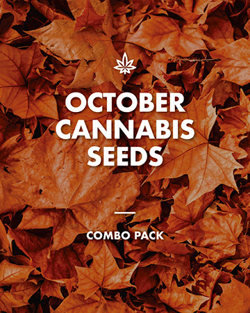 october cannabis seed combo deal