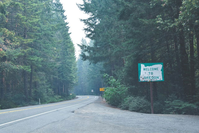 Foggy forest with an Oregon sign 