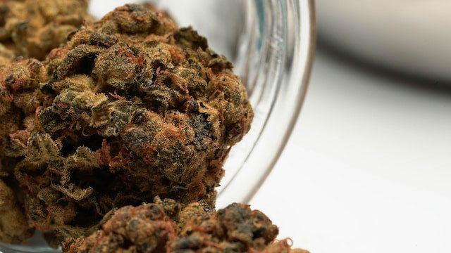 Cannabis nugget in a glass container