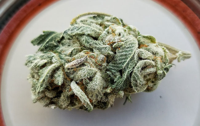 Frosty green cannabis nugget
