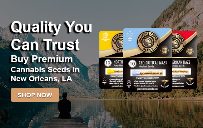 buy cannabis seeds in New Orleans