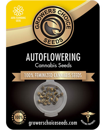 the best marijuana seeds for sale pinkman goo seeds