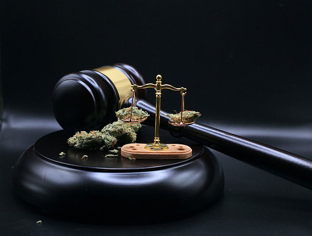 Cannabis buds on a scale that's on top of a sound block with a gavel behind