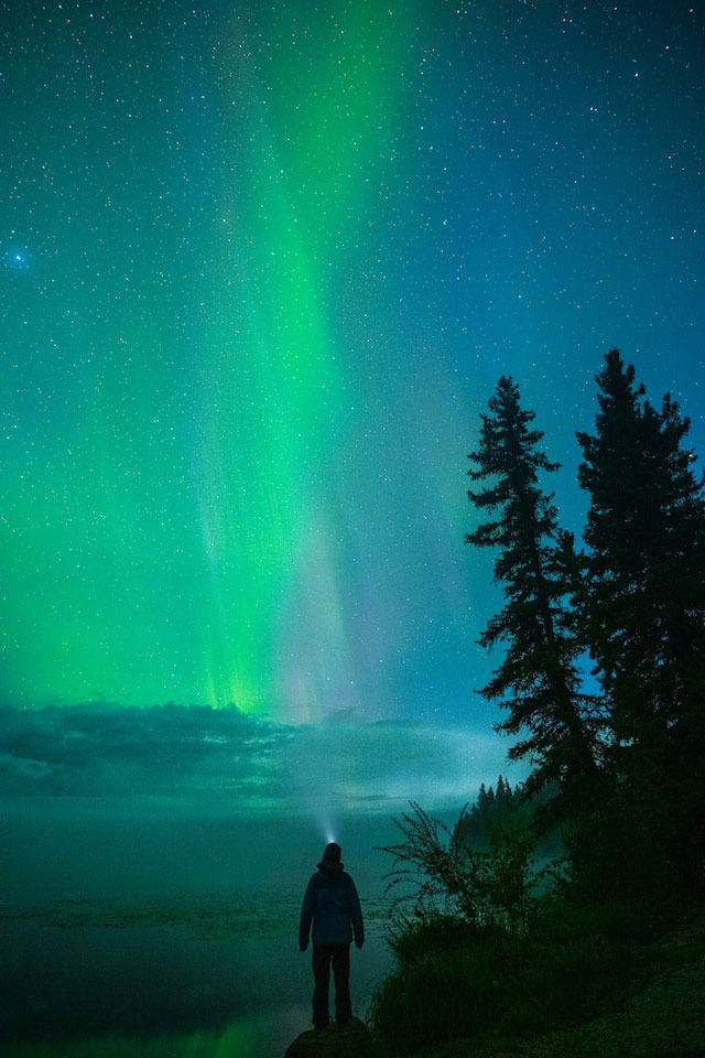 A person with a headlamp on standing next to trees looking at aurora borealis in Alaska