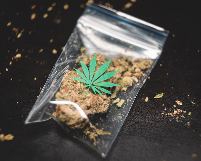 cannabis flower in a baggie