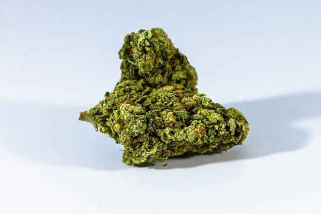 Cured green cannabis bud on a white surface