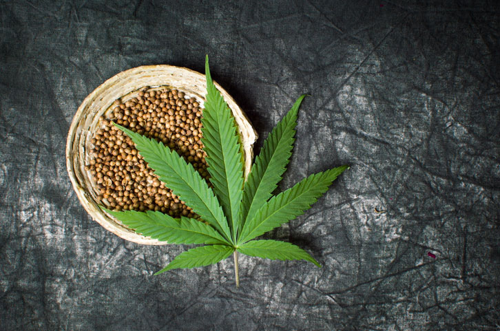 Cannabis seeds in a bowl on dark textured background