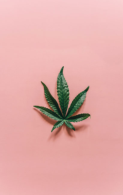 green cannabis leaf
