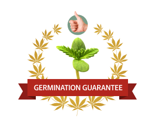 germination-guarantee