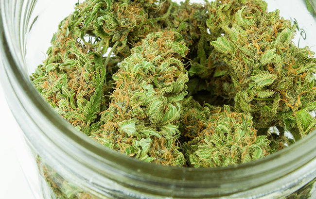 Bright green buds with orange pistils in a glass jar