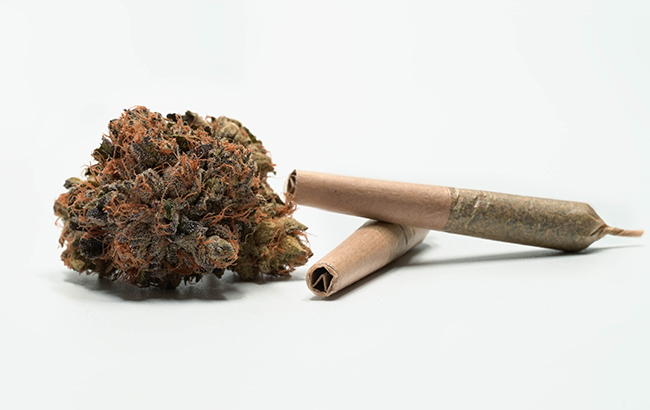 Marijuana bud with two rolled joints against a white surface