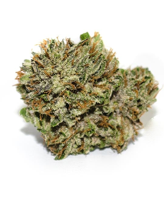 Strawberry Cough Auto