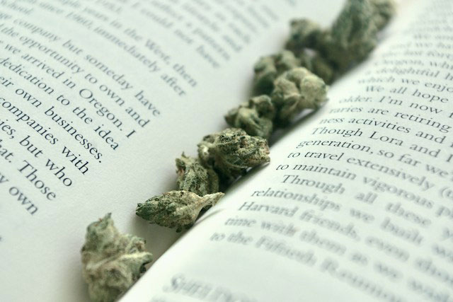Dried cannabis buds lounging between a book's pages.