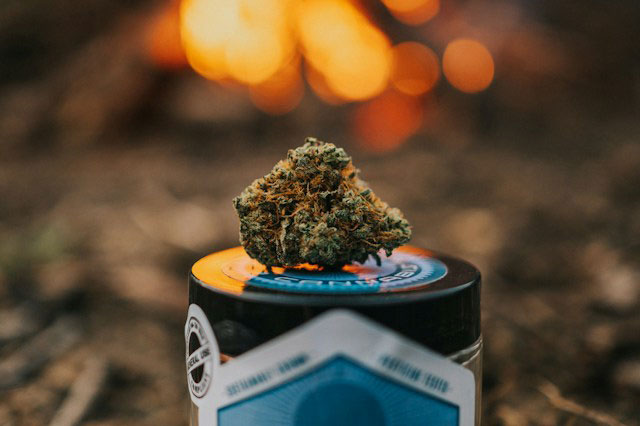 A cannabis bud with a campfire in the background