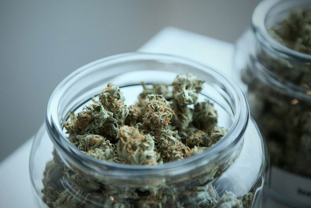 Marijuana buds in a glass jar with the top off