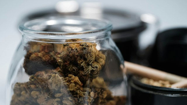 Dried cannabis flowers stored in a glass jar with an herb grinder in the background