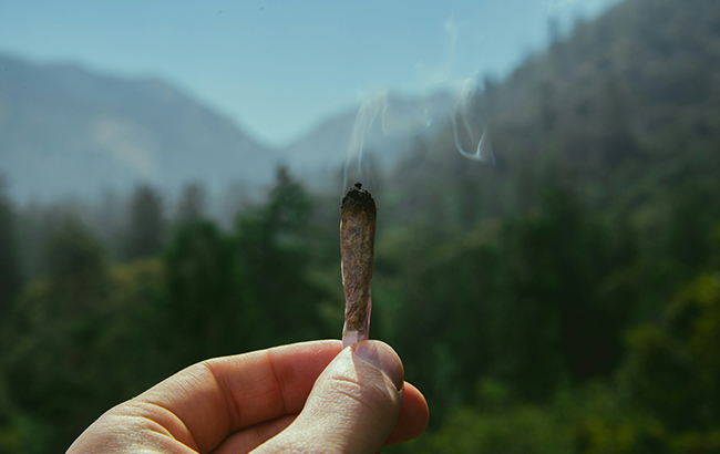 A person holding up a joint with a forest in the background.