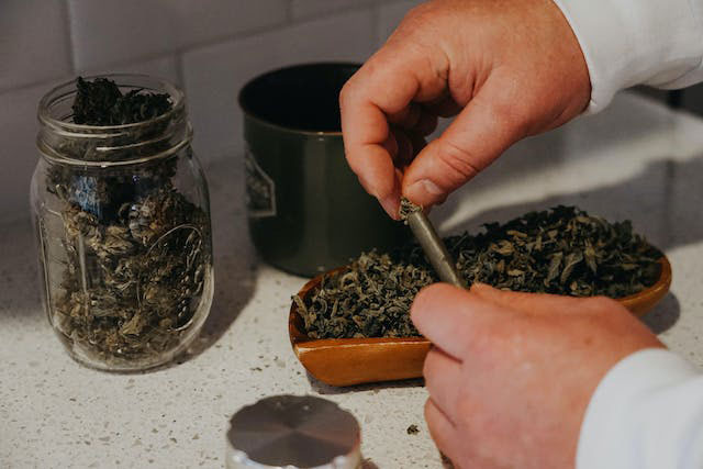 Man placing dried cannabis in rolling paper