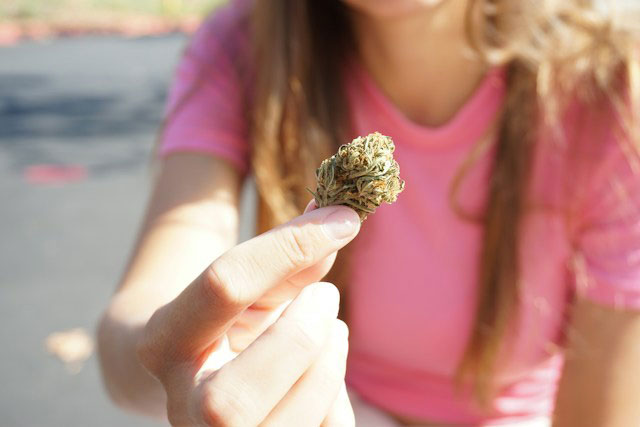 A person holding a marijuana bud.