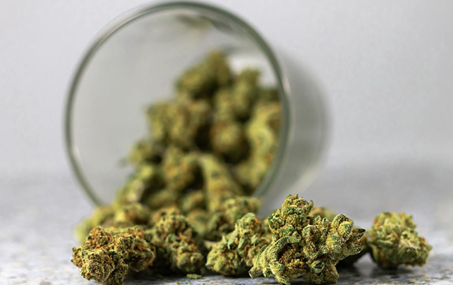 Visually-pleasing cannabis in a jar