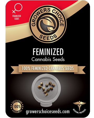 get-best-feminized-marijuana-seeds-Birthday-Cake