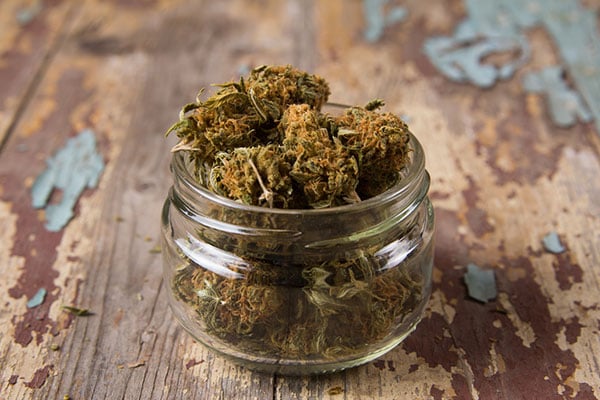Marijuana buds in the glass pot on the rustic wooden table