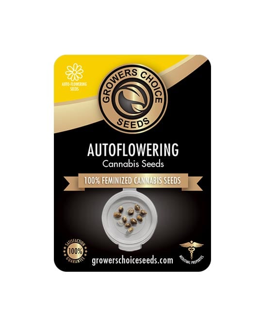 Tropicana Cherry Auto