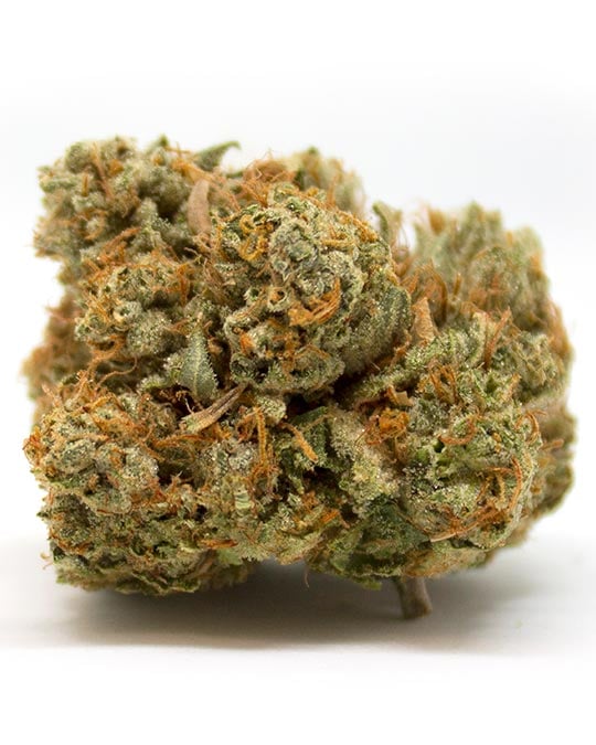 Tropicana Cherry Auto