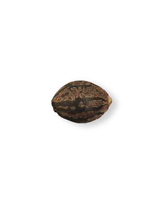 shop-your-choice-weed-seeds-Chemdog-91