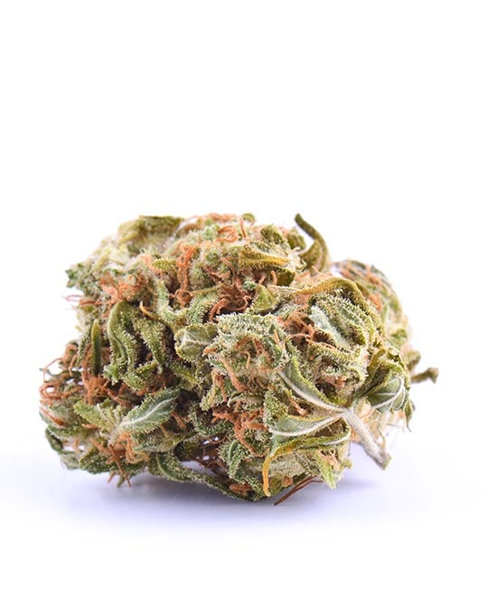 Sour Tangie