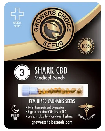Compra-mejor-paquete-de-3-semillas-de-marihuana-cbd-shark