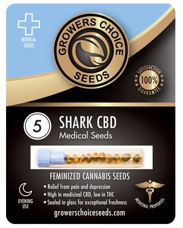 Compra-mejor-paquete-de-5-semillas-de-marihuana-cbd-shark