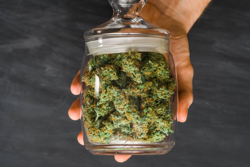 Las-mejores-semillas-de-cannabis-con-THC-[1]