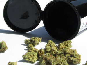 compra-cannabis-de-alta-calidad-en-GCS