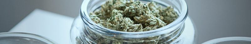 El marihuana medicinal alivia el dolor
