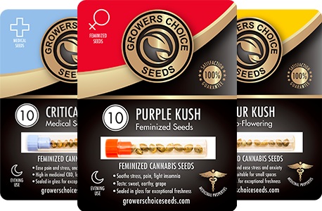 Growers Choice Seeds cannabis seeds
